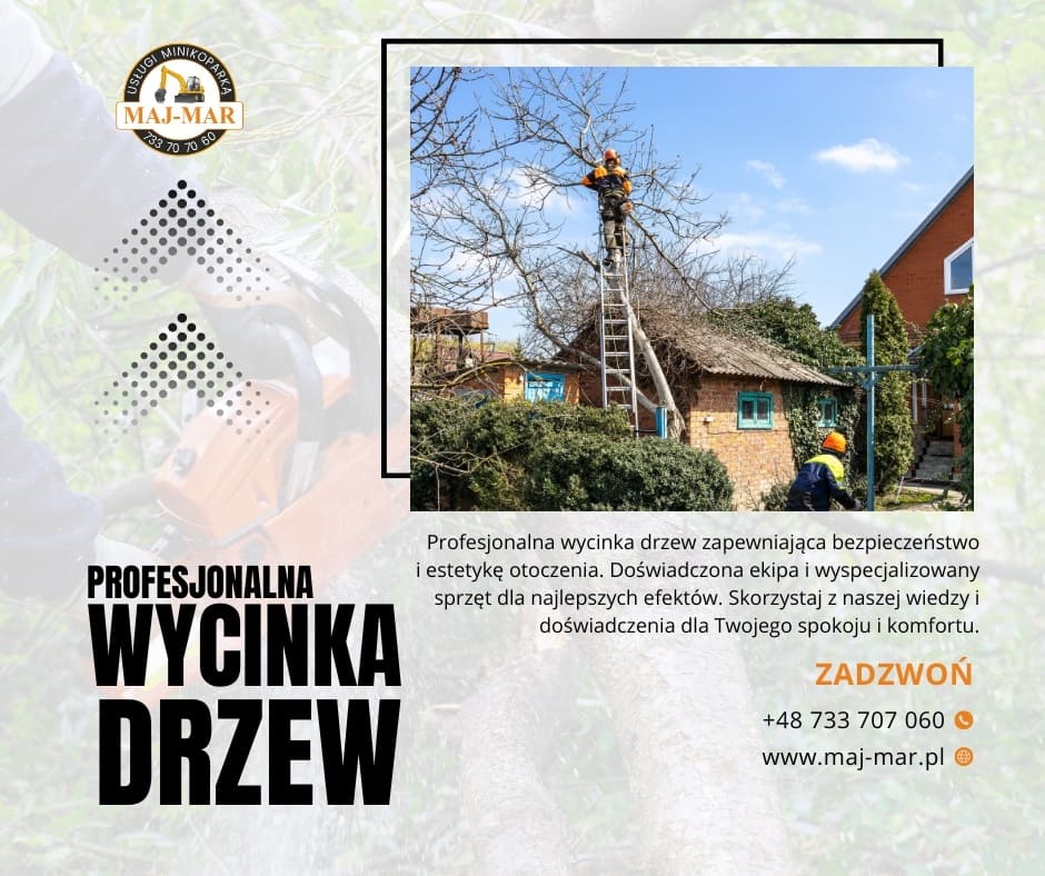 przyłącza elektryczne łódź